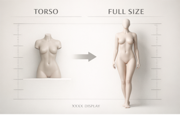 Image showing a comparison between a torso mannequin and a full-size mannequin, labeled 'TORSO' and 'FULL SIZE' with a directional arrow in between.